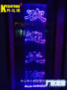 厂家直销光纤吊灯 水帘吊灯 光纤 光纤机 侧光光纤 定做新款光纤